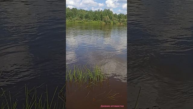 Август Ветлуга спуск к реке под Булдаково
