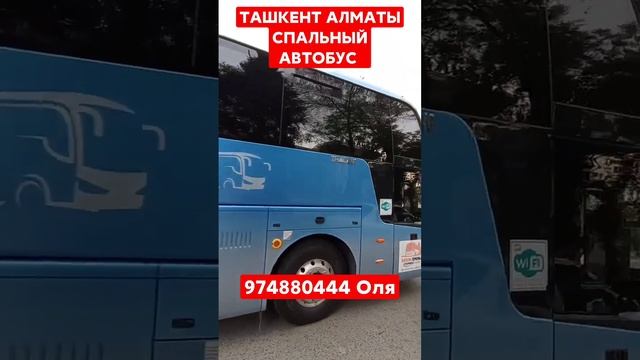 ТАШКЕНТ АЛМАТЫ АВТОБУС 974880444