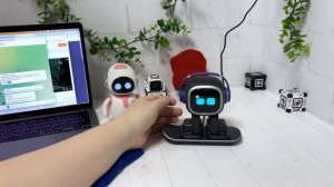 Робот Emo слишком сложный? Ответы на вопросы подписчиков