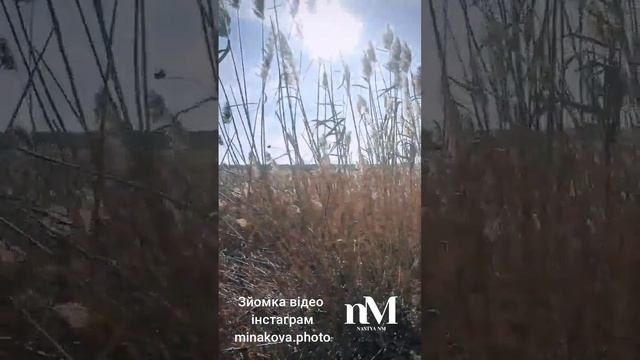 Слово Божье #мудрость  #бог #духсвтой  #вера #библия