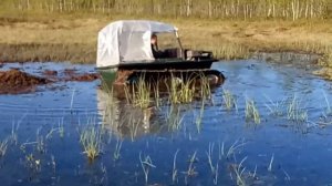 Торфяное болото -  вездеход БОРУС.