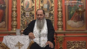 Можно ли пить святую воду, как обычную? (прот. Владимир Головин)