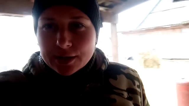 Чем решила подкормить Красулю!? Жарёнка из свинины/Обеденная управа)