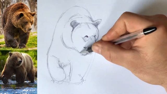 Рисунок медведь смотреть онлайн