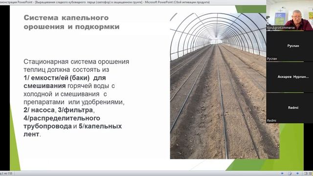 Выращивание сладкого кубовидного перца (светофор) в защищенном грунте