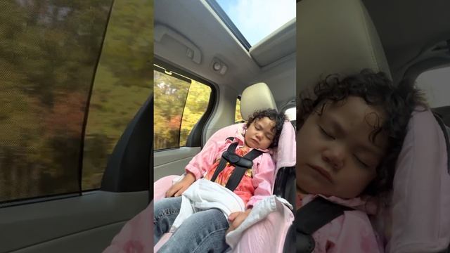 SLEEPING IN THE CAR #cute #asmr  #travel #toddler #carride #travelvlog