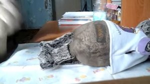 Одеваю басика. И рассказываю как за ним ухаживать