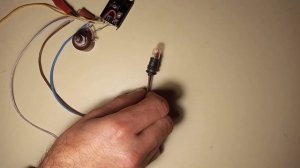 Как сделать автономный инкубатора 12-24 вольт своими руками