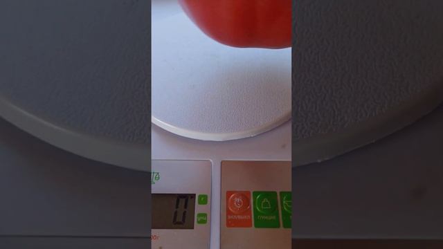 томат Валера смотреть онлайн