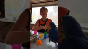 Ломать - не строить!) Попугай Ара, какаду, Гиацинтовый Ара, попугай бесится, смешные животные.