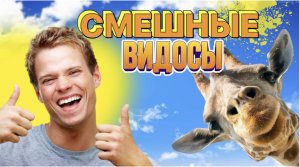 СМЕШНЫЕ ВИДЕО