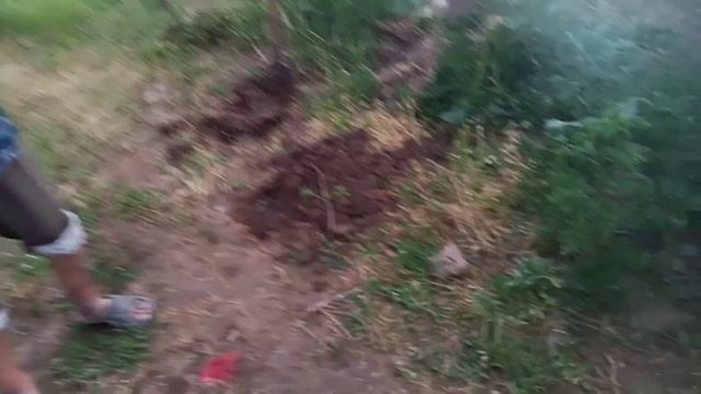 Обнаружен новый Скилл ? Коп в черте города 2020 Запорожье смотреть онлайн