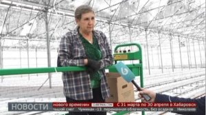Теплицы: Комсомольск полностью обеспечат своими овощами? Новости. 26/01/2024. GuberniaTV