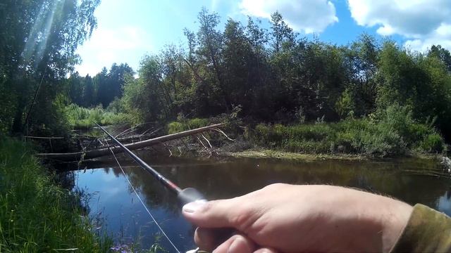 Крокодиды малых рек смотреть онлайн