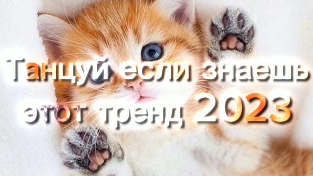 ??Танцуй если знаешь этот тренд 2023 года! НОВЫЕ Тренды для Тебя и твоих друзей!!!!??