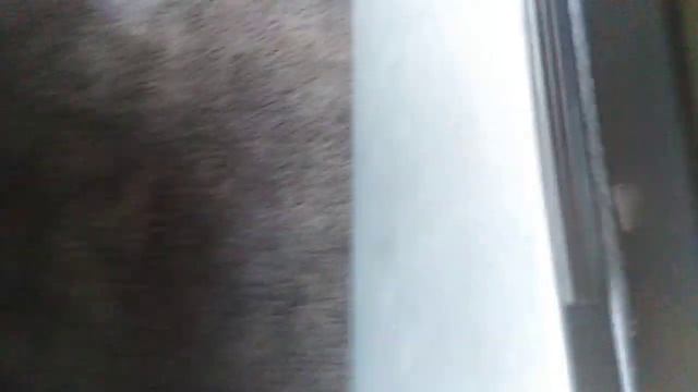 Обзор на МАН TGA 430лс смотреть онлайн