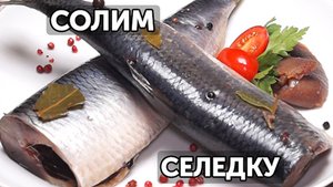 30 секунд о том, как засолить селедку