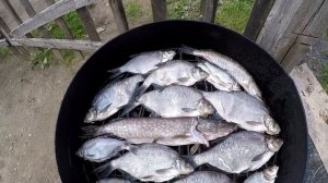 Копчение Рыбы... "На яблоне и вишне" #