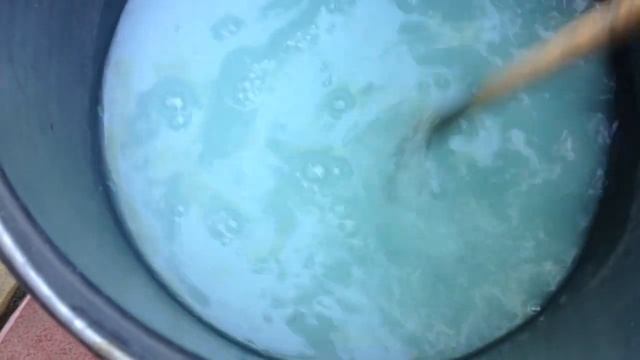 СРОЧНО СПАСАЮ КЛЕМАТИС !!! Почернели побеги, обработки не помогли. смотреть онлайн