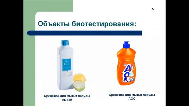 Биотестирование препаратов бытовой химии