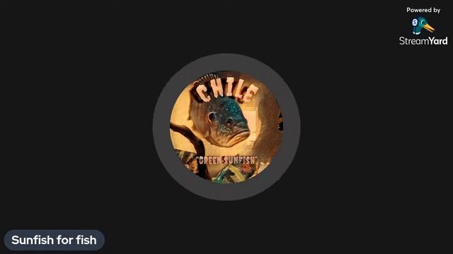 Bad case of the Mondays? смотреть онлайн