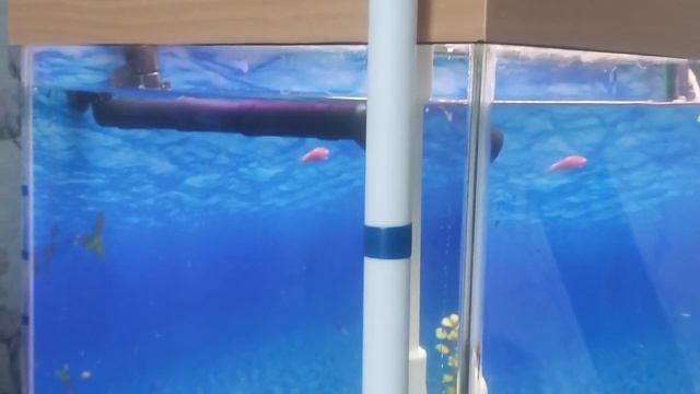 Подмена воды! Система ТРЁХ КРАНОВ! смотреть онлайн