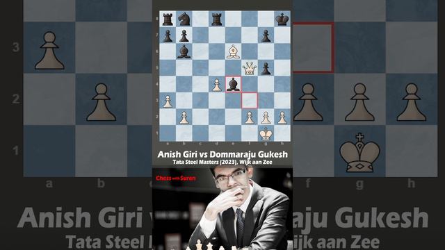 Anish Giri's incredible combination at Tata Steel Masters 2023