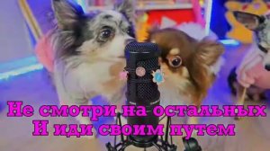 Песня "Подпевай мне"Magic Famaly!