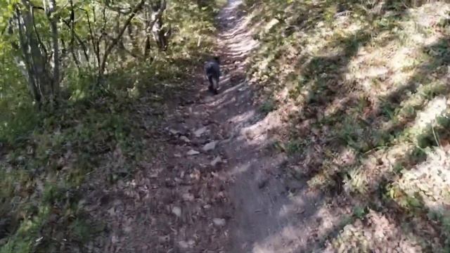Поиск тропинок до Кипарисового озера