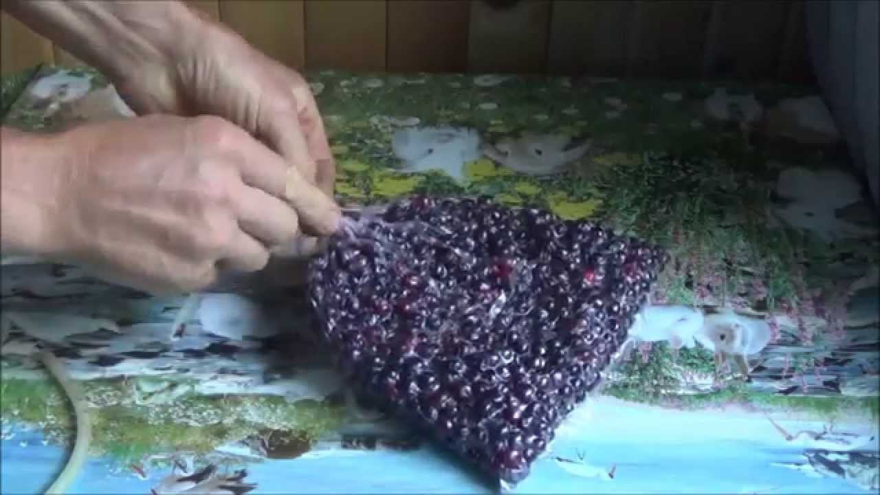Заморозка ягоды