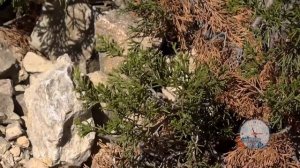 What is Geocaching?