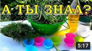 ЧЕСНОЧНЫЕ СТРЕЛКИ: рецепт - пальчики оближешь???
