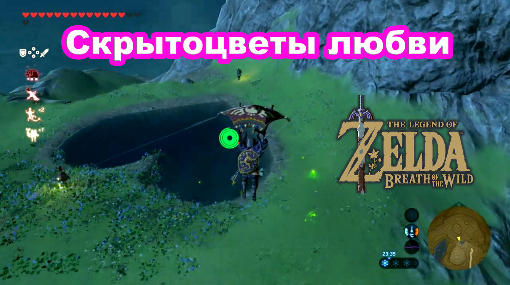 Скрытоцветы любви. The Legend of Zelda Breath of the Wild. Nintendo Switch