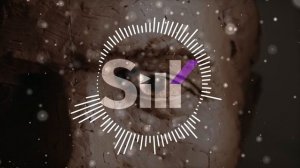 woee33 - Illuminate Flow | 2023