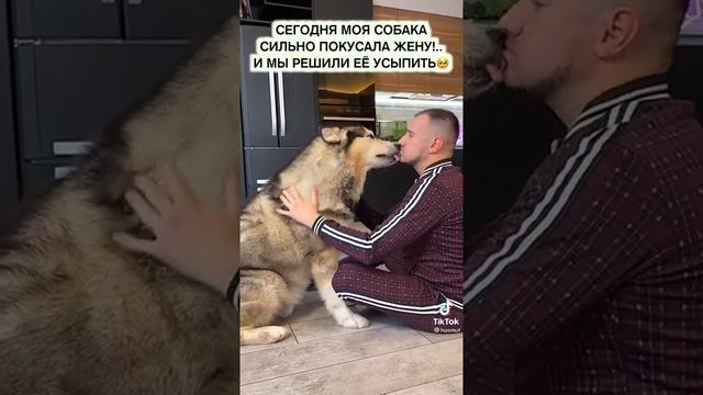 собака сильно покусала жену! и мы решили её усыпить. (это НЕ грустное видео) Видео прикол.