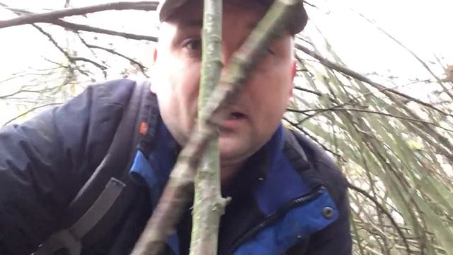 ГРИБНОЕ болото. ? смотреть онлайн