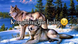 Mirzabek Holmedov Bo'ri hikoyasi. Мирзабек Холмедов бури хикояси