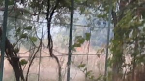 ПОЖАР!  СПАСАЕМ НАШУ ДАЧУ ОТ ПОЖАРА / ЧП