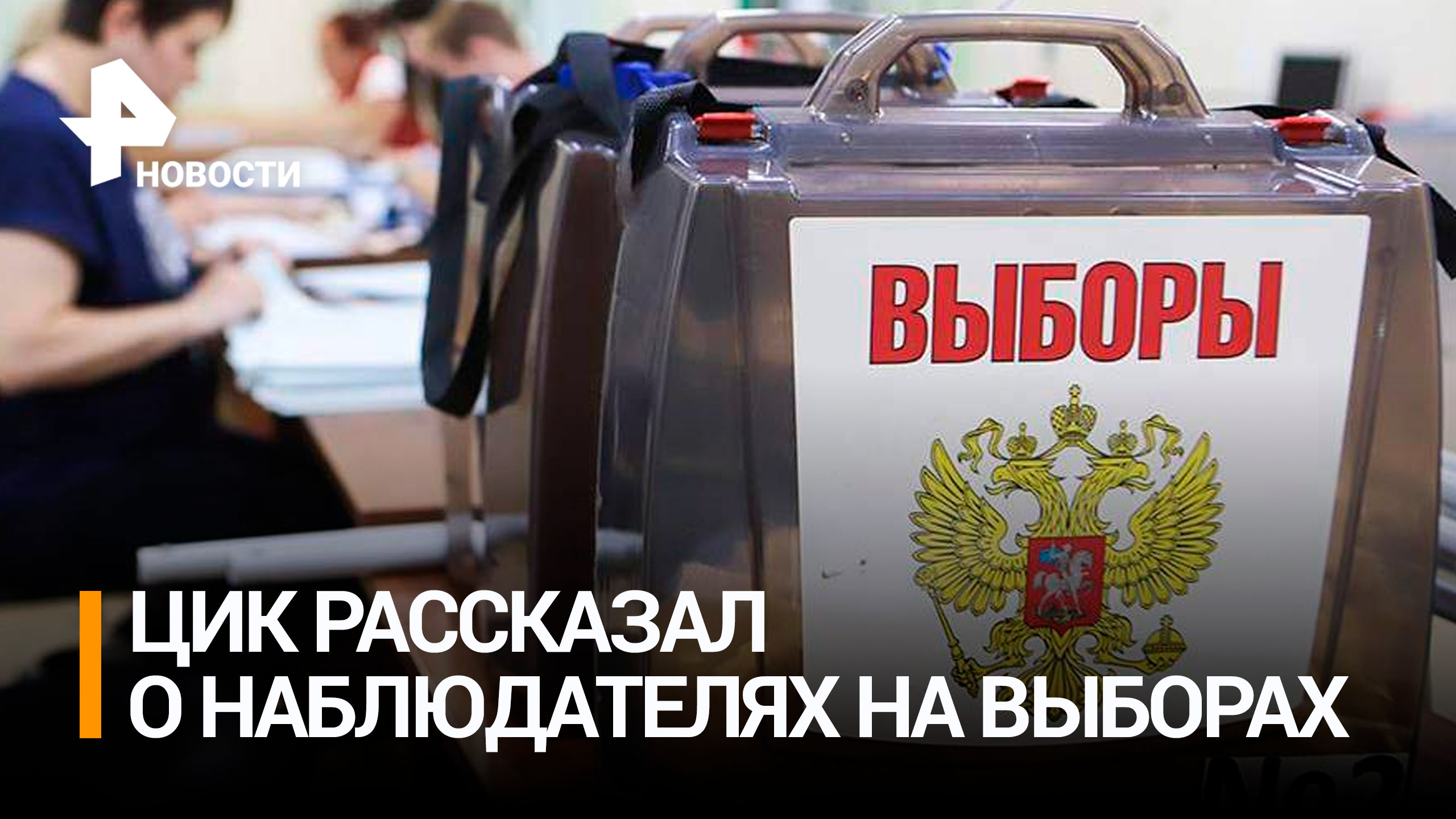 Время работы избирательных участков в 2024 году. Урна для голосования. Выборы в Госдуму картинки.