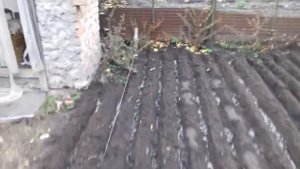 Органическое удобрение Биочар (biochar) для огорода, теплиц, кукурузы, подсолнечника, рапса
