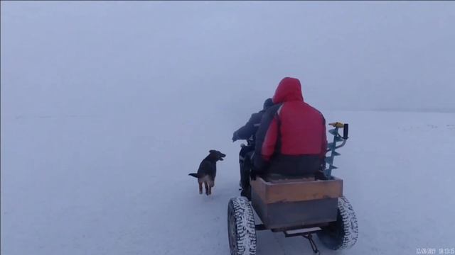 Трицикл из мопеда Альфа а зачем он нужен смотреть онлайн