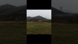 #экскурсия_на даче#планы наполеоновские:-)