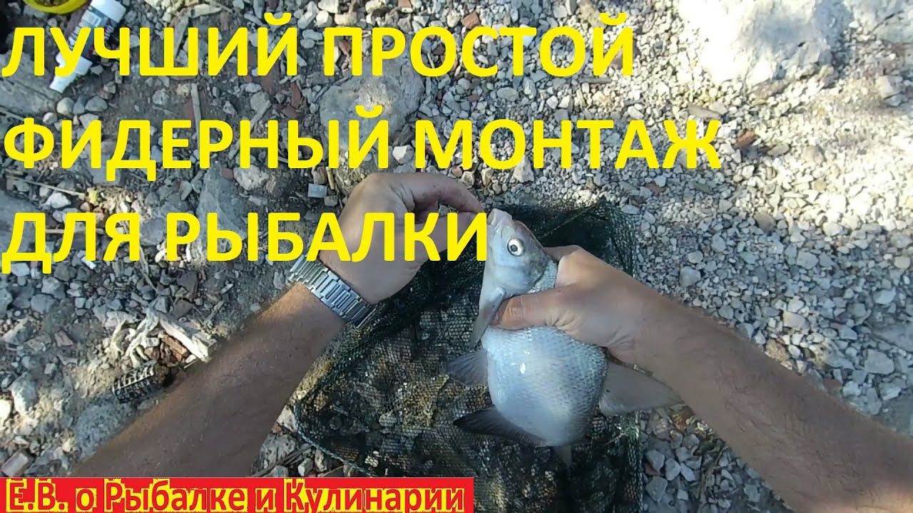 ЛУЧШИЙ ПРОСТОЙ ФИДЕРНЫЙ МОНТАЖ, ДЕЛАЕТСЯ БЫСТРО А ЛОВИТСЯ НА НЕГО ОЧЕНЬ МНОГО