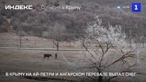В Крыму на Ай-Петри и Ангарском перевале выпал снег