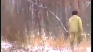 Тигр поймал собаку