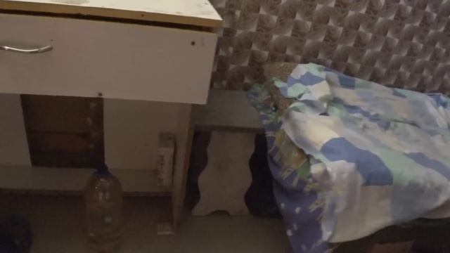 Продаю поросят ,цыганский STIHL ,зарплата у Сани... смотреть онлайн