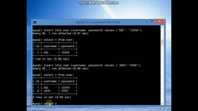 Run SQL Query :Insert, Update, Delete and Alter Columns