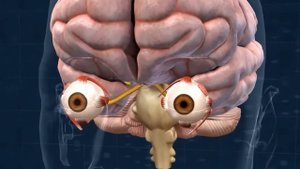 •ИСТОРИЯ НЕЙРОСЕТЕЙ• КРАТКО И НАГЛЯДНО