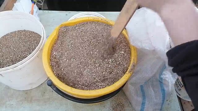 Будет здоровая и крепкая рассада! Кассетный посев Вербены, Виолы с вермикулитом.Тёплые столы готов смотреть онлайн