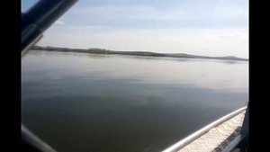Suzuki DT40 WRS & Wellboat 45M
